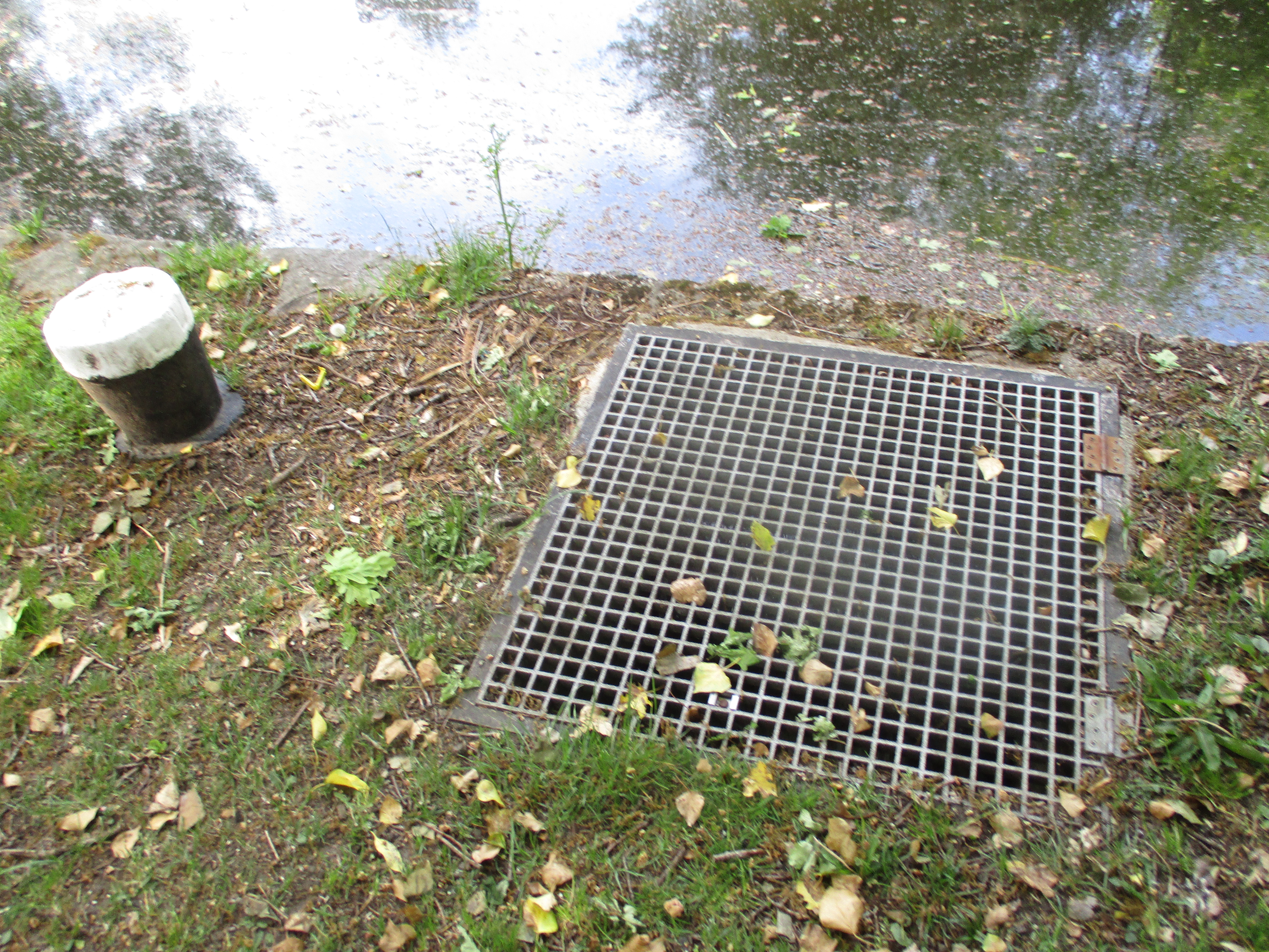 Water Flowing Through Canal Drain.